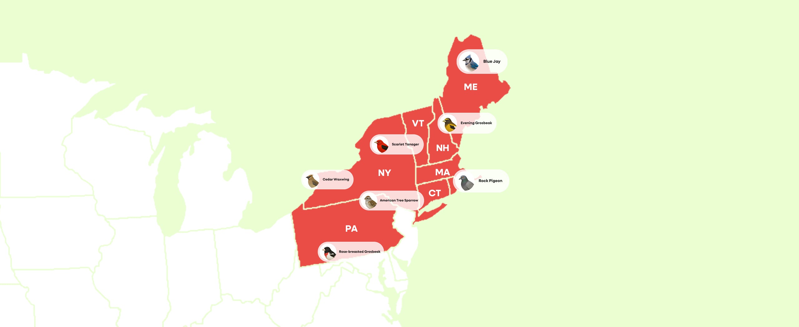 Map of Northeast U.S. backyard birds showing Blue Jay, Evening Grosbeak, Scarlet Tanager, Rock Pigeon, Cedar Waxwing, American Tree Sparrow, and Rose-breasted Grosbeak.