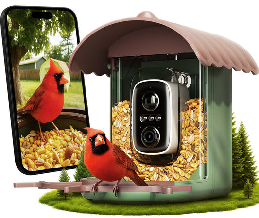 bird feeder with camera
